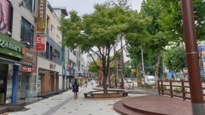 대전시 전민네거리 공공공지, 새단장... 대형수종 식재, 휴게시설 개선
