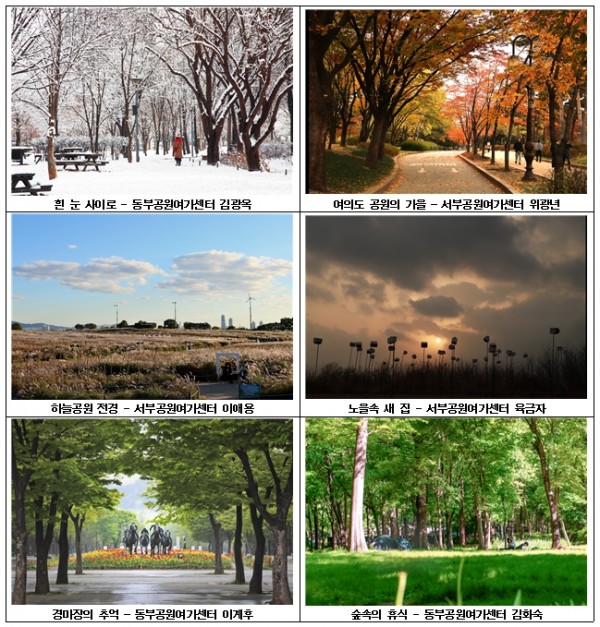 서울시, 공원 풍경 기록하는 재능나눔 활동가 "공원사진사 " 모집